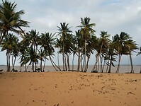 IMG_20250222_173217509