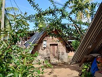 IMG_20250301_100458826_HDR