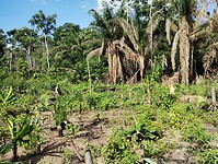 IMG_20250301_161600653
