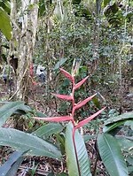 IMG_20250301_162632401