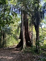 IMG_20250301_164935116_HDR