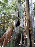 IMG_20250301_165018508