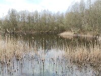IMG_20250323_141138115