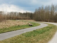 IMG_20250323_141119757