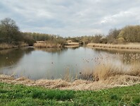 IMG_20250323_133845973