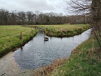 IMG_20250330_141631569