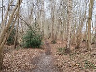 IMG_20250330_140902353