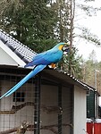 IMG_20250330_131626473