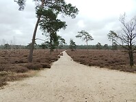 IMG_20250330_122446092