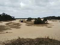 IMG_20250330_121323385