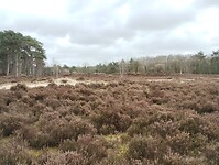 IMG_20250330_120438705