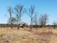 IMG_20250405_133901505