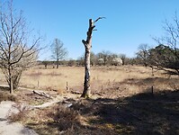 IMG_20250405_133833830
