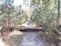 IMG_20250405_132058453