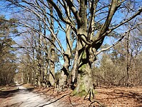 IMG_20250405_130221819