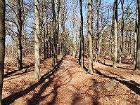 IMG_20250405_130027778