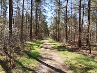 IMG_20250405_125624546