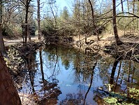 IMG_20250405_115947698_HDR