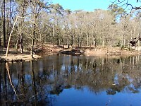 IMG_20250405_115626086