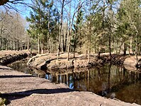 IMG_20250405_113411734_HDR