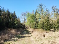 IMG_20250405_113230766