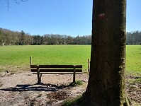 IMG_20250405_111934763_HDR