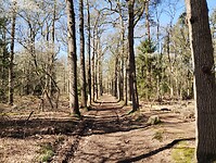 IMG_20250405_111035438