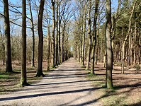 IMG_20250405_104330500_HDR