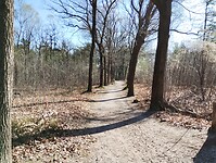 IMG_20250405_102611416