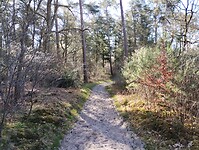 IMG_20250405_100851988