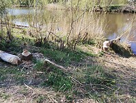IMG_20250407_160308918