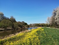 IMG_20250407_152055817