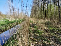 IMG_20250407_133124793