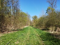 IMG_20250407_131107786