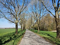 IMG_20250407_125841583