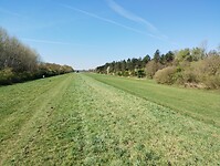 IMG_20250407_121859671
