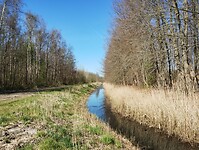 IMG_20250407_120707520