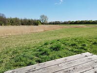IMG_20250407_114349402
