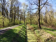 IMG_20250407_111956844