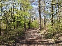 IMG_20250407_111316542