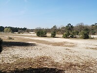 IMG_20250411_154641537