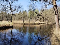 IMG_20250411_133638072