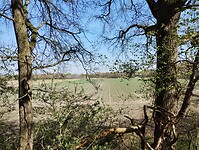 IMG_20250411_131102089