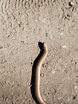 IMG_20250412_133422490