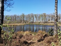 IMG_20250412_132647055
