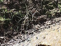 IMG_20250412_125015683