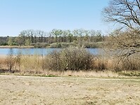 IMG_20250412_124125284