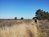IMG_20250412_115026216