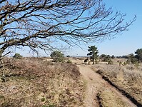 IMG_20250412_114249038