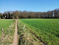 IMG_20250412_110609680